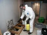 Mold Removal